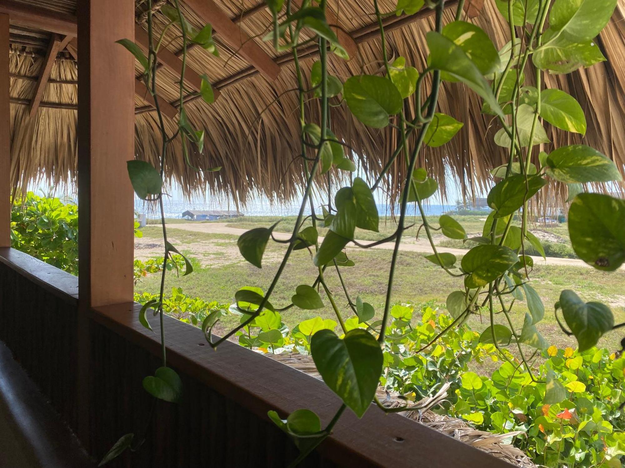 El Origen Villas & Spa-Puerto Escondido Puerto Escondido  Exterior foto
