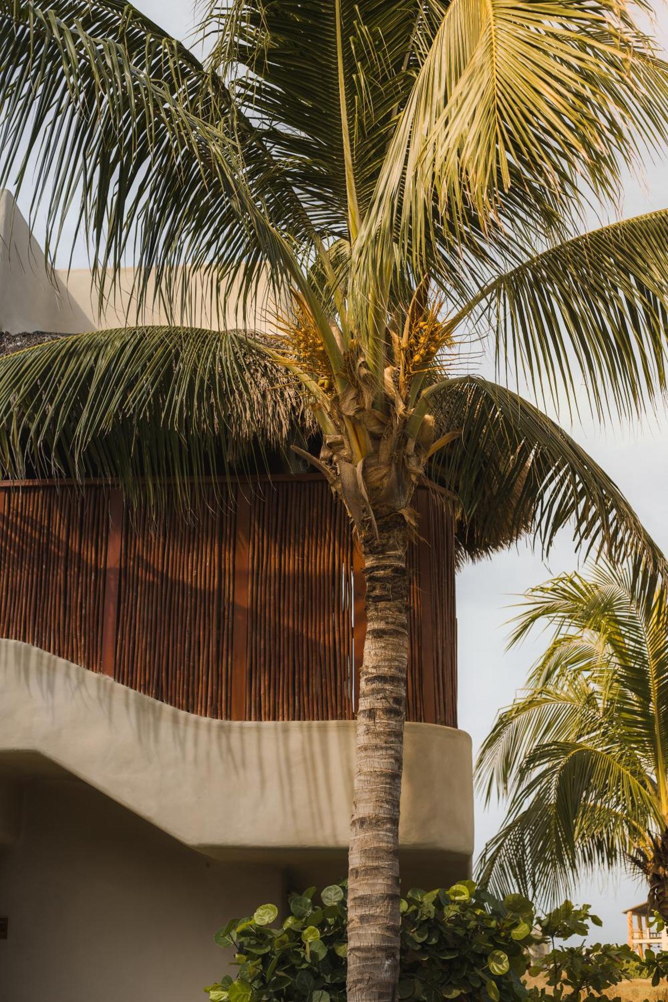 El Origen Villas & Spa-Puerto Escondido Puerto Escondido  Exterior foto
